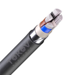 Кабель TOKOV ELECTRIC АВБШвнг(А) 4х70 МС (N) 1кВ (м) УТ000030773